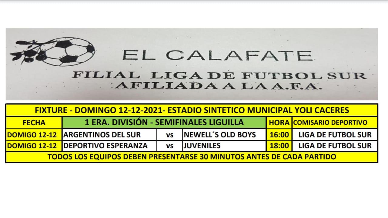 Futbol de Primera Liguilla semifinales Programa