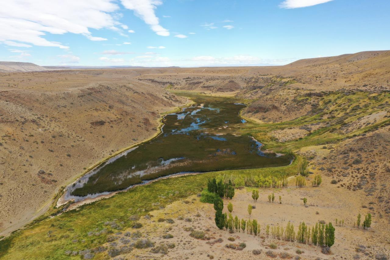 WhatsApp Image 2023-03-20 at 08.29.38