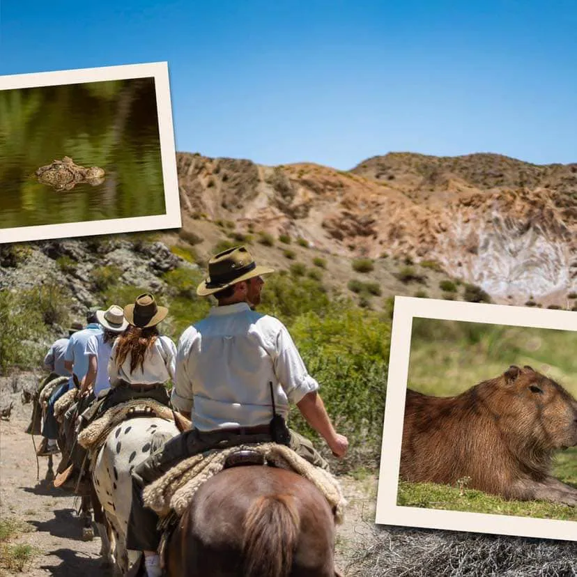 375459931_323726003360157_897943505898647039_n