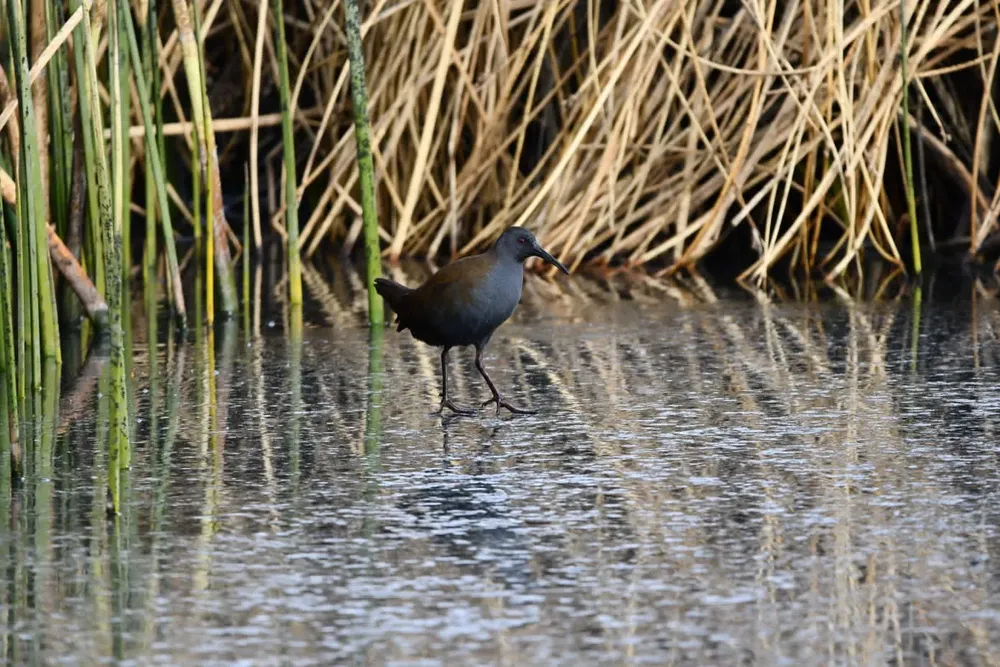 7fb4ce25-3e43-4efe-b132-7184eedf2f61