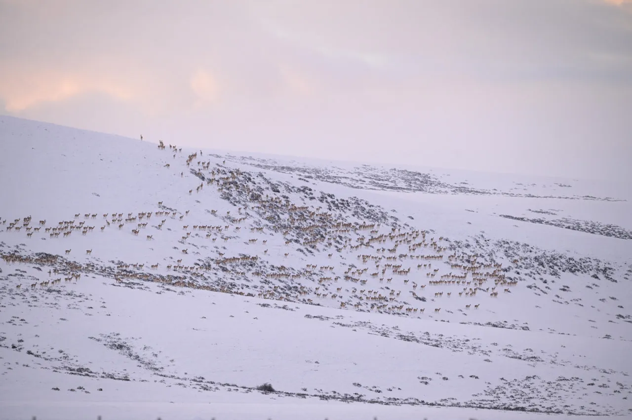 WhatsApp Image 2023-06-12 at 15.06.15 (3)