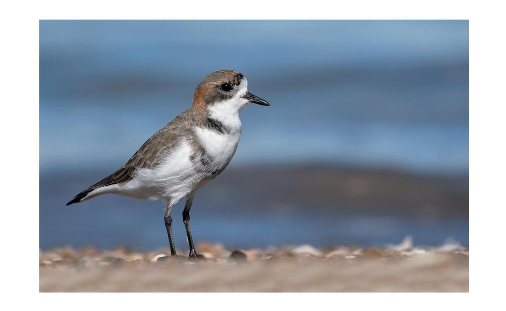 WhatsApp Image 2023-05-12 at 12.17.21 (2)