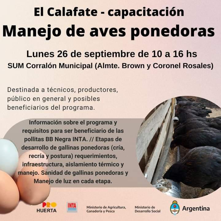 Capacitacion Ponedoras