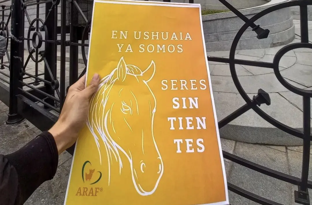 905DE930-3484-41B1-9497-504FB779DE6D