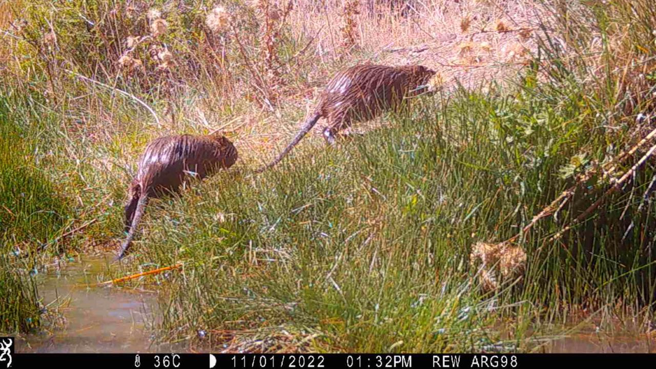 WhatsApp Image 2023-01-18 at 15.42.49 (3)