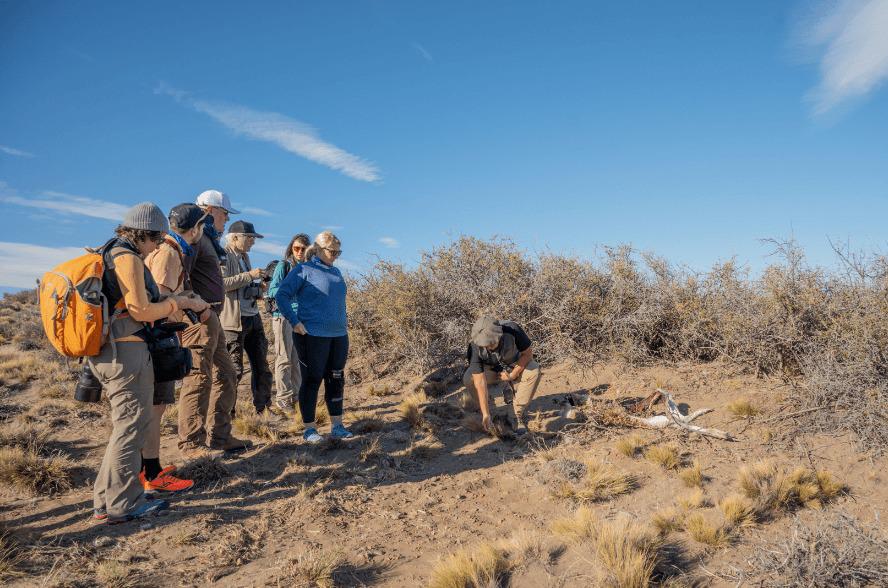 WhatsApp Image 2023-02-24 at 11.00.26