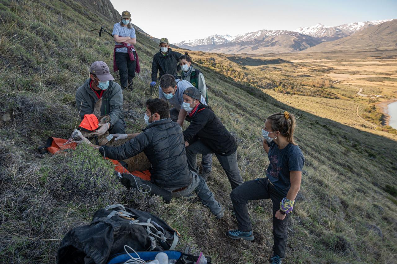 WhatsApp Image 2022-04-25 at 7.25.06 PM