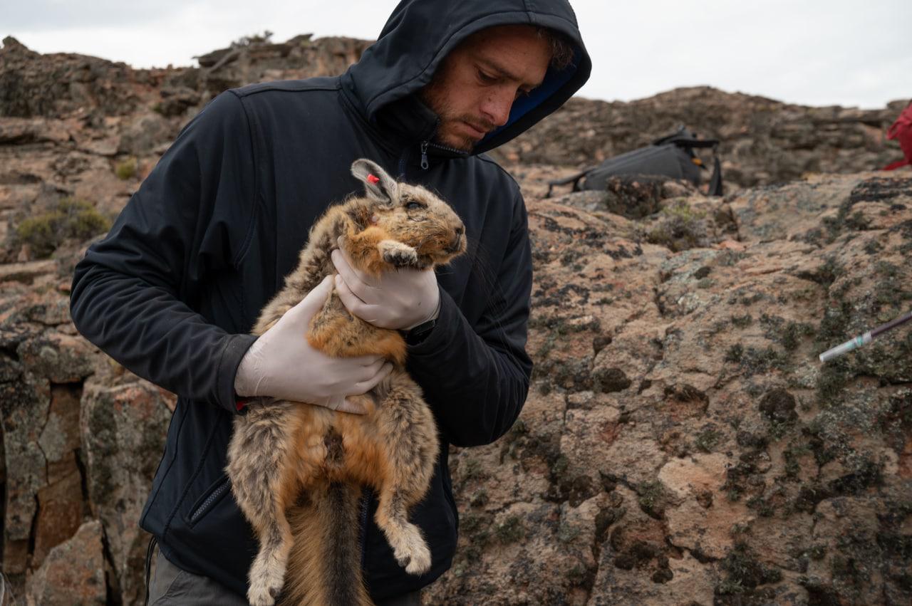 WhatsApp Image 2022-07-01 at 5.51.47 PM (2)