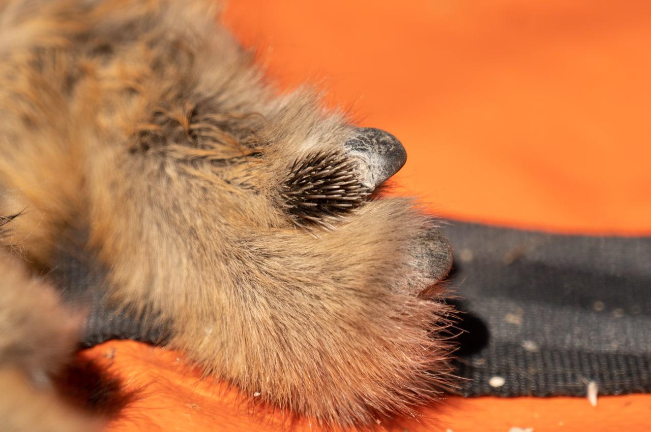 WhatsApp Image 2022-07-01 at 5.51.48 PM (3)