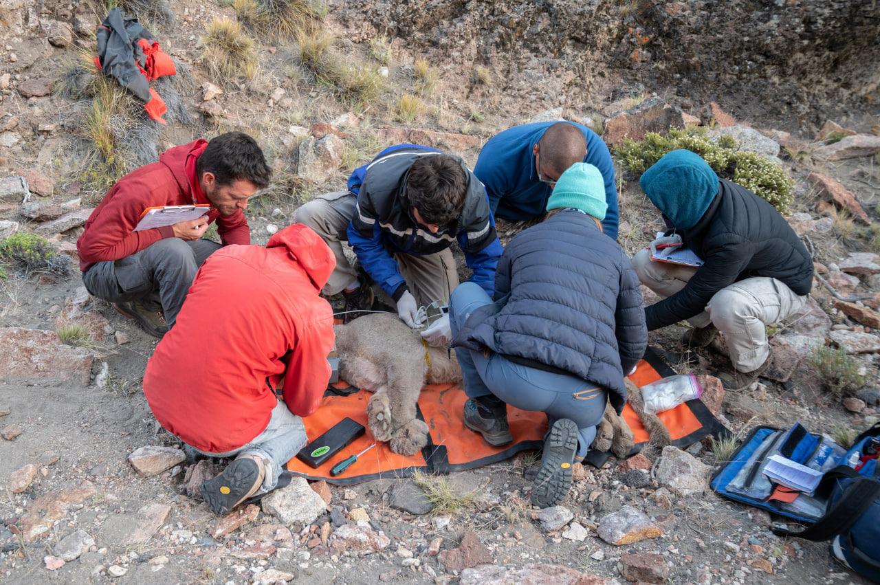 WhatsApp Image 2023-04-08 at 12.38.50