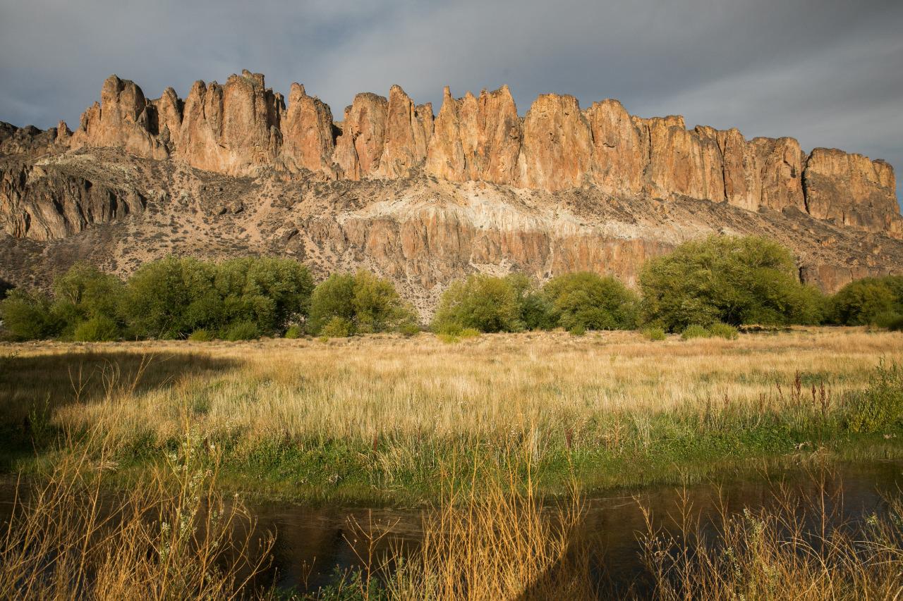 WhatsApp Image 2022-05-16 at 4.04.27 PM