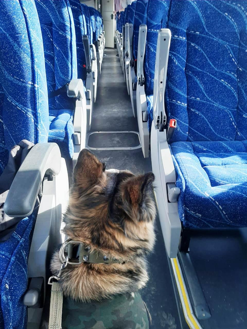 droga en colectivo represas 02