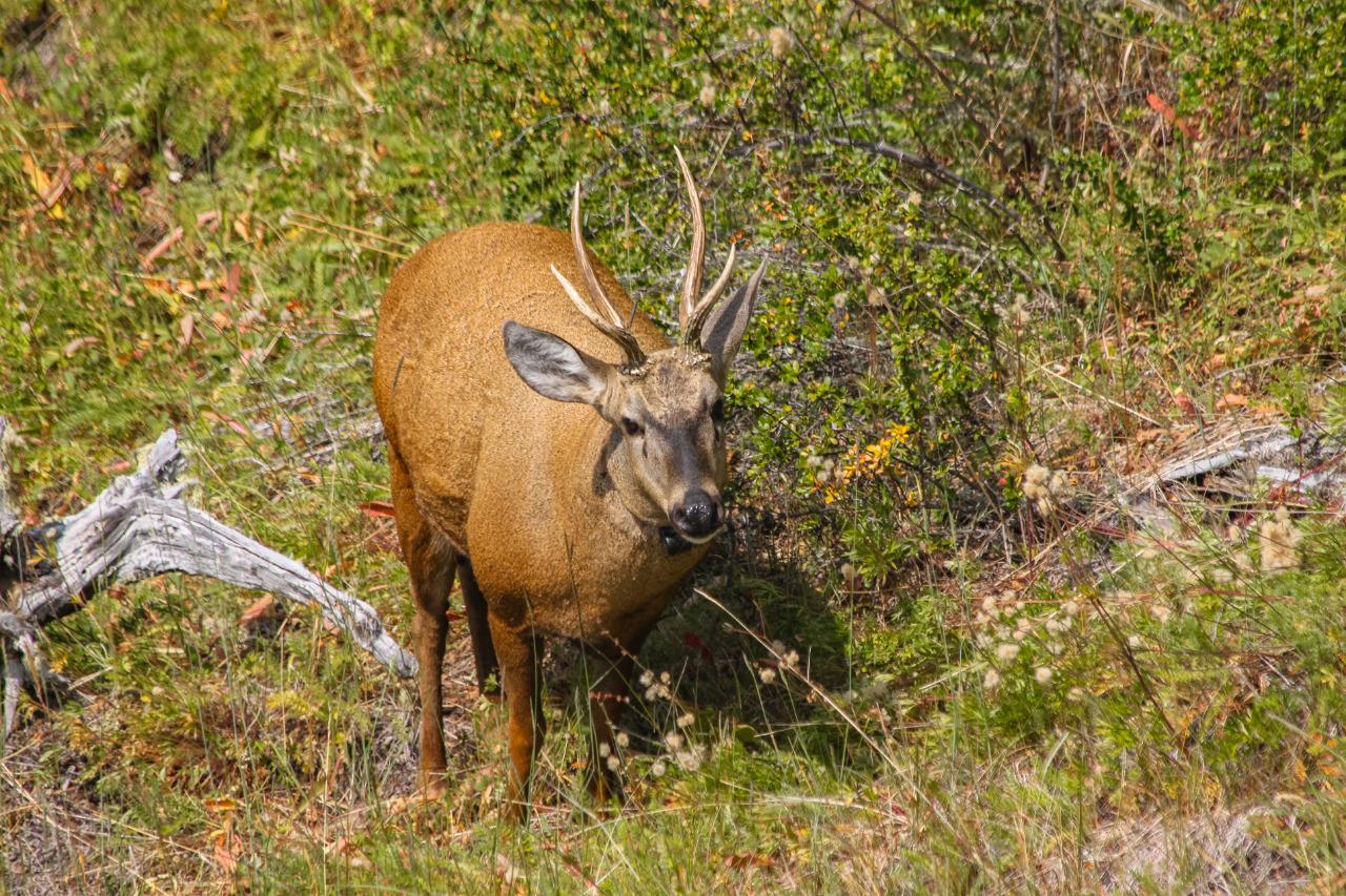 WhatsApp Image 2022-04-29 at 9.45.58 AM (1)