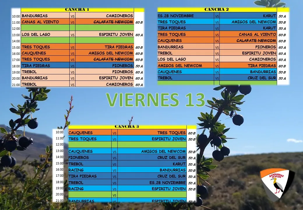 Newcomo Torneo Bandurrias viernes 13 de octubre 2023