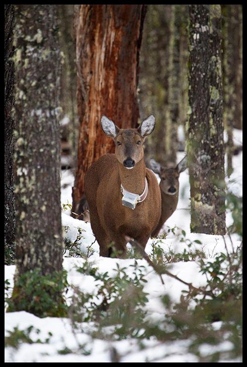 WhatsApp Image 2022-09-15 at 17.21.15 (5)