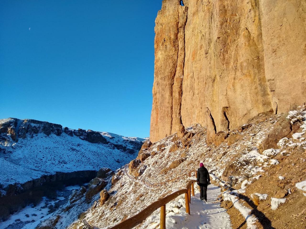 WhatsApp Image 2022-05-27 at 9.52.58 AM (2)