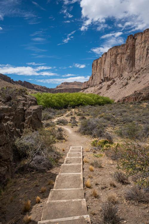 Sendas Parque Patagonia 03