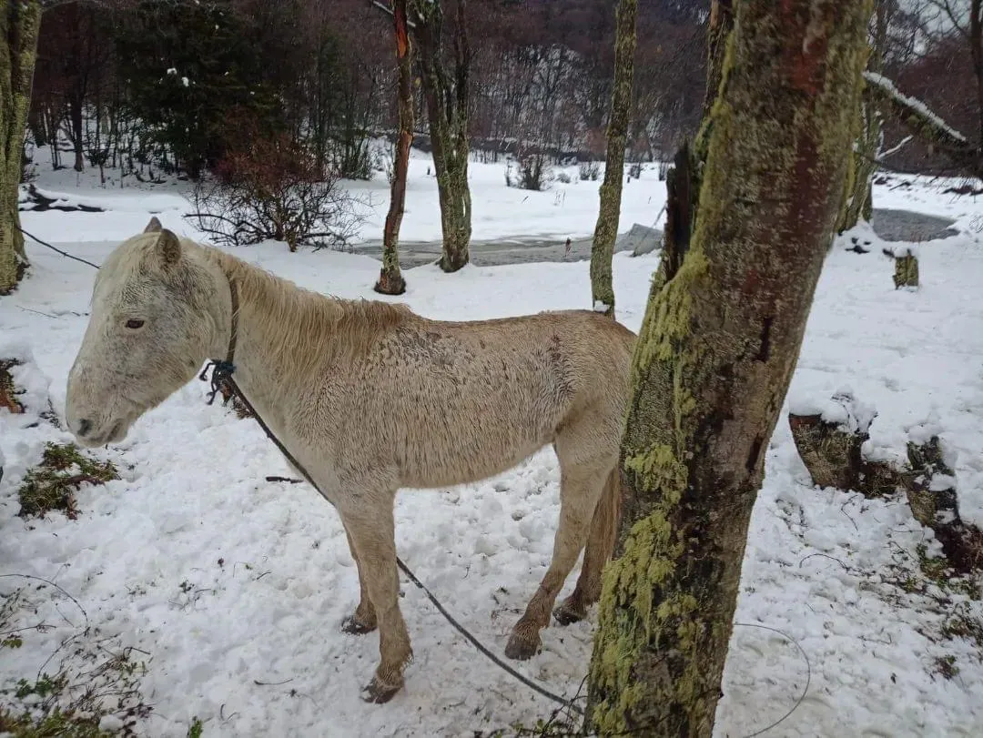 3A247A5F-4669-4D00-956C-27C8049B976E