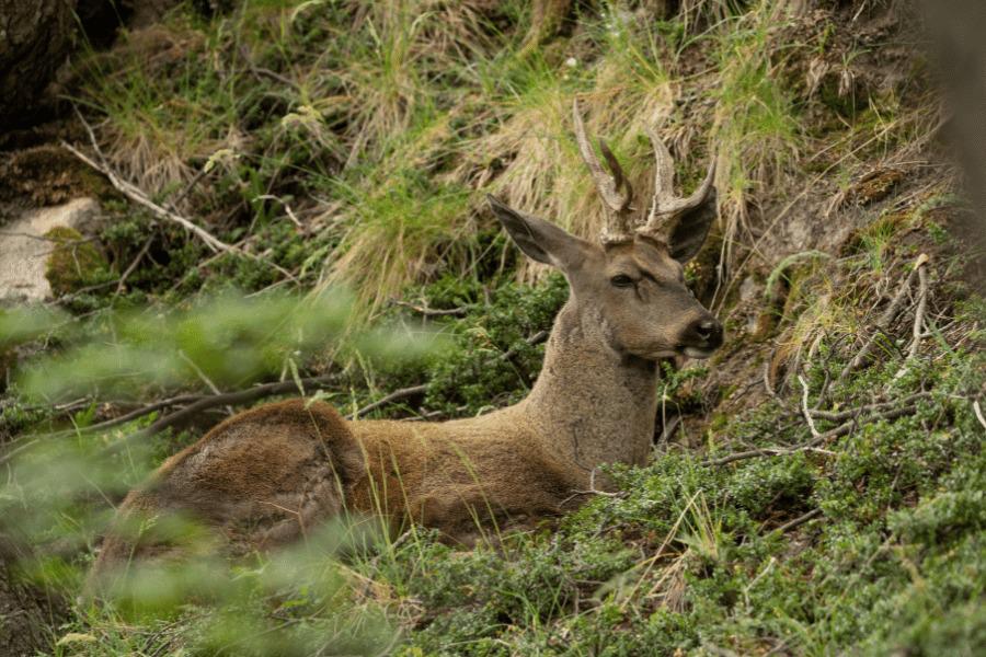 WhatsApp Image 2022-04-25 at 7.25.06 PM (3)