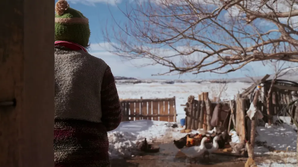 Pumas de la Estepa 13