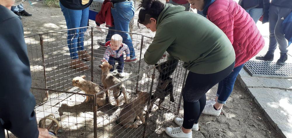 WhatsApp Image 2022-12-24 at 19.36.20