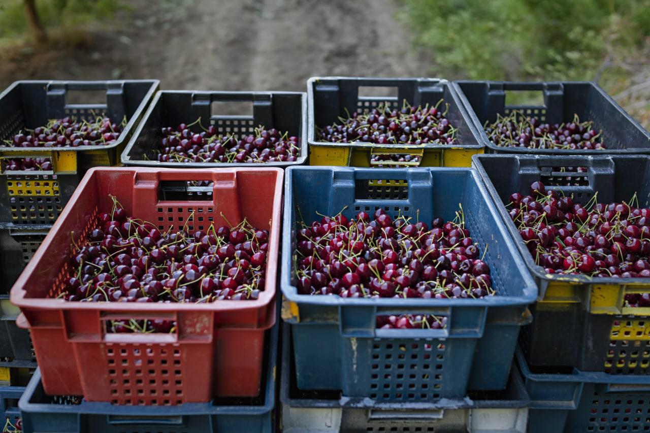 WhatsApp Image 2022-08-05 at 6.34.31 PM