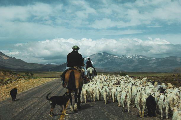 Ph Fernando Gonzalez NQN