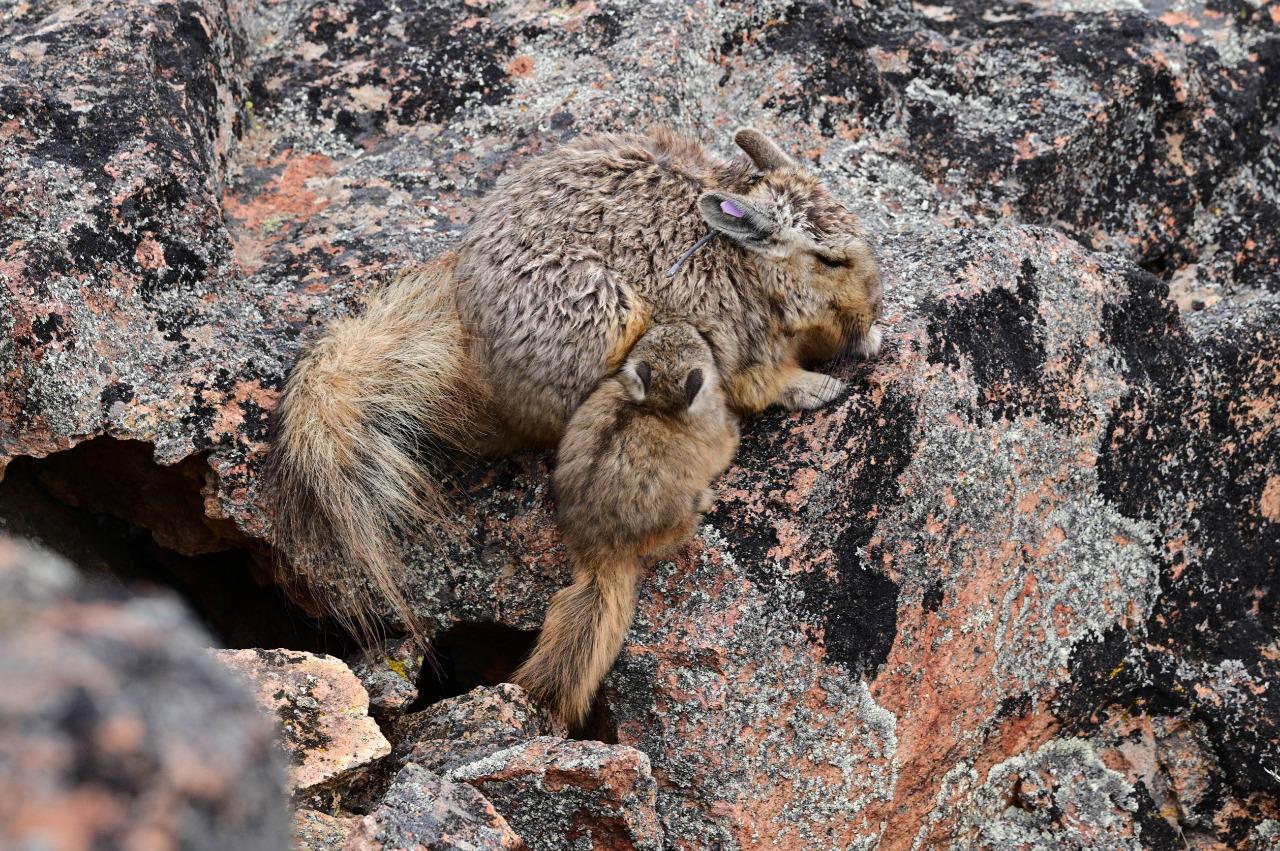 WhatsApp Image 2021-12-15 at 14.09.00 (1)