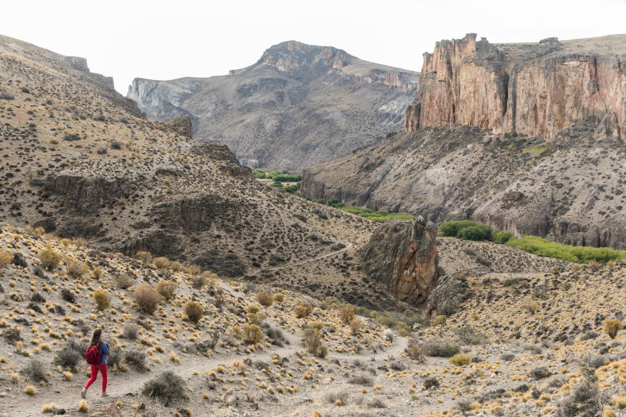 WhatsApp Image 2022-10-29 at 11.51.50