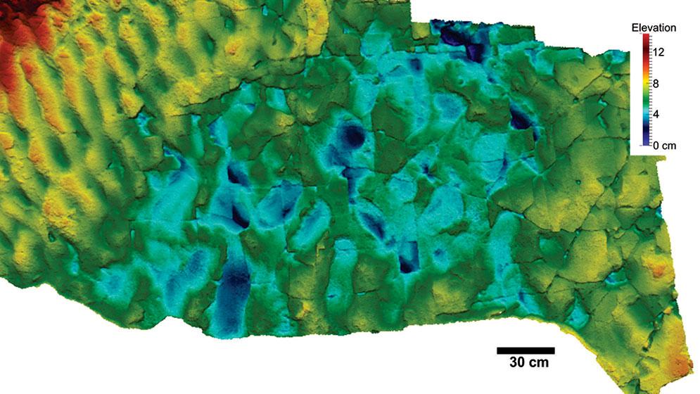 Imagen-6-Fotogrametria-de-huellas