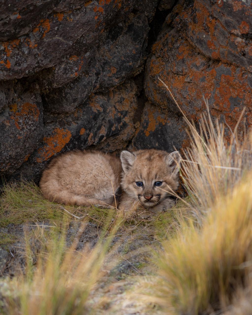 WhatsApp Image 2022-03-31 at 10.52.50 AM (4)