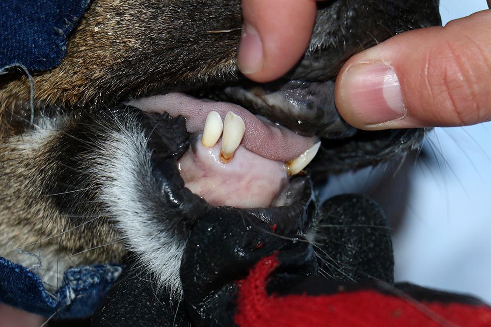 WhatsApp Image 2022-09-15 at 17.21.15 (1)