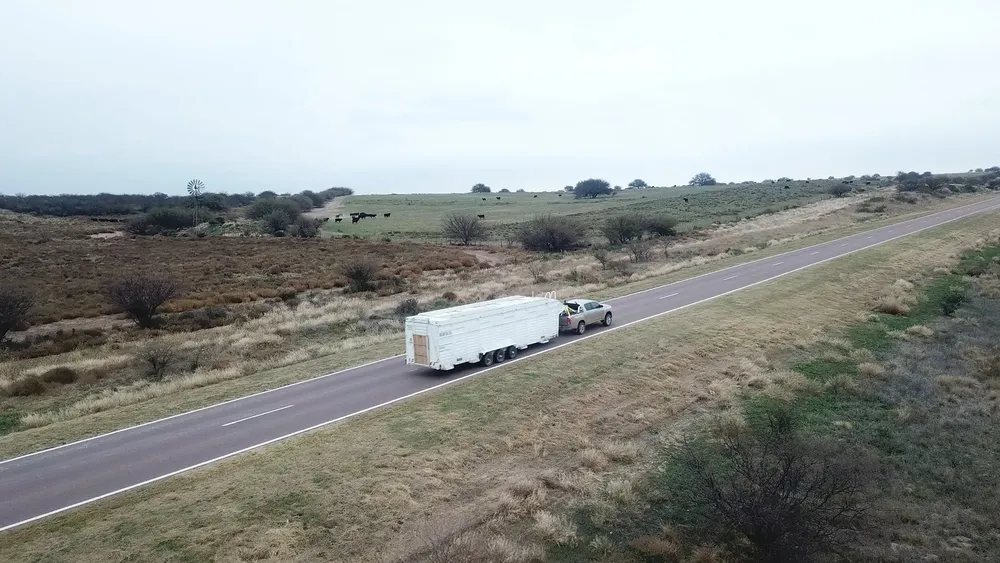 El trailer en el traslado de los guanacos de Santa Cruz a La Pampa - crédito Franco Bucci-Rewilding Argentina