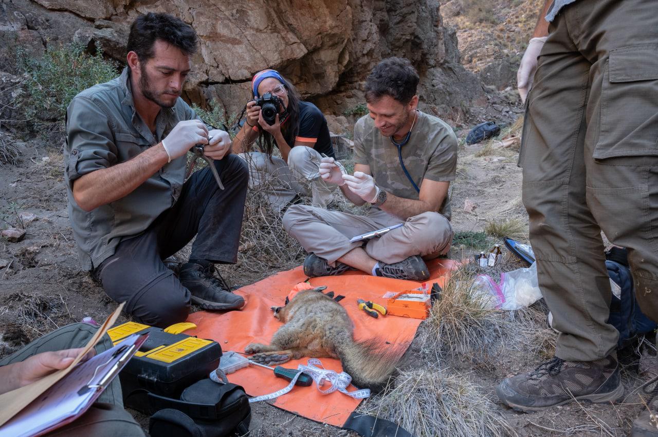 WhatsApp Image 2022-07-01 at 5.51.47 PM