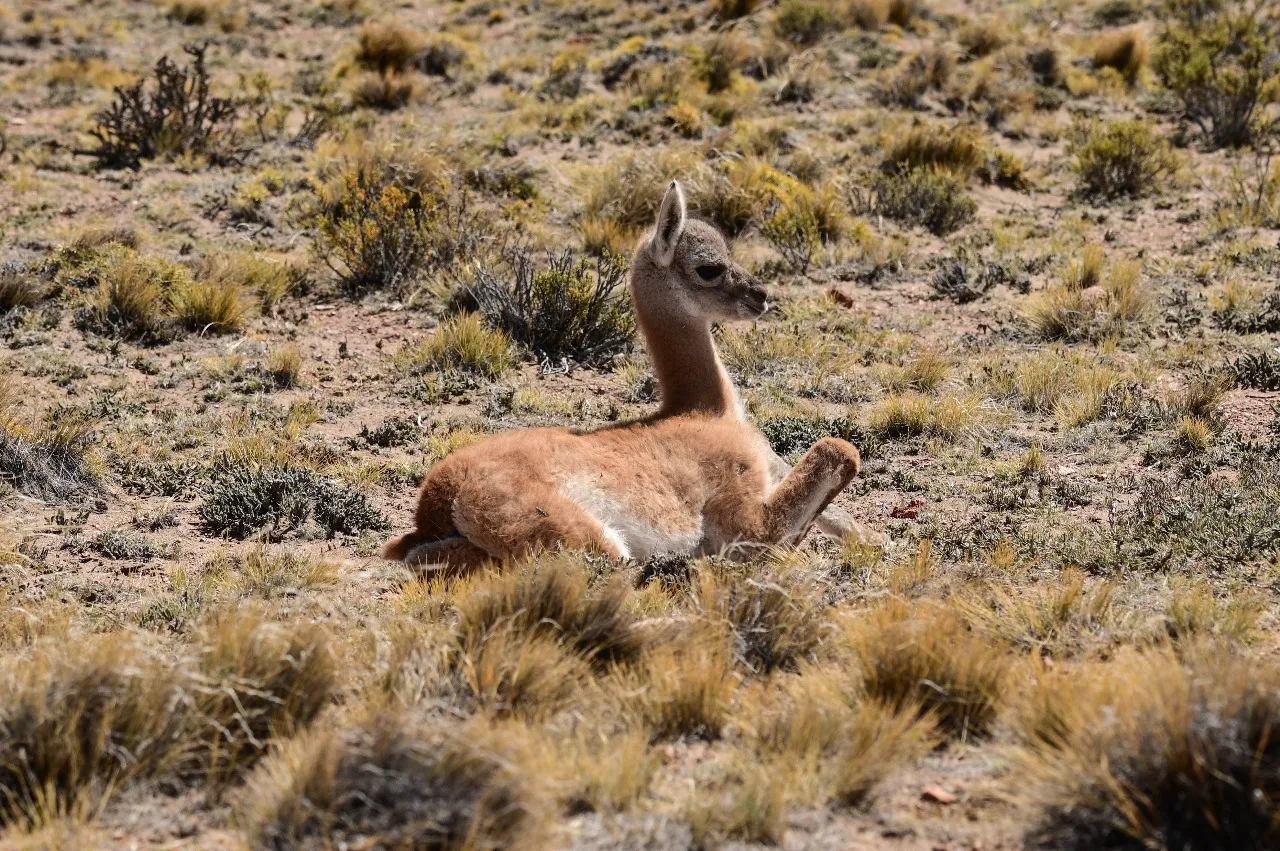 WhatsApp Image 2023-12-01 at 10.03.48 (1)