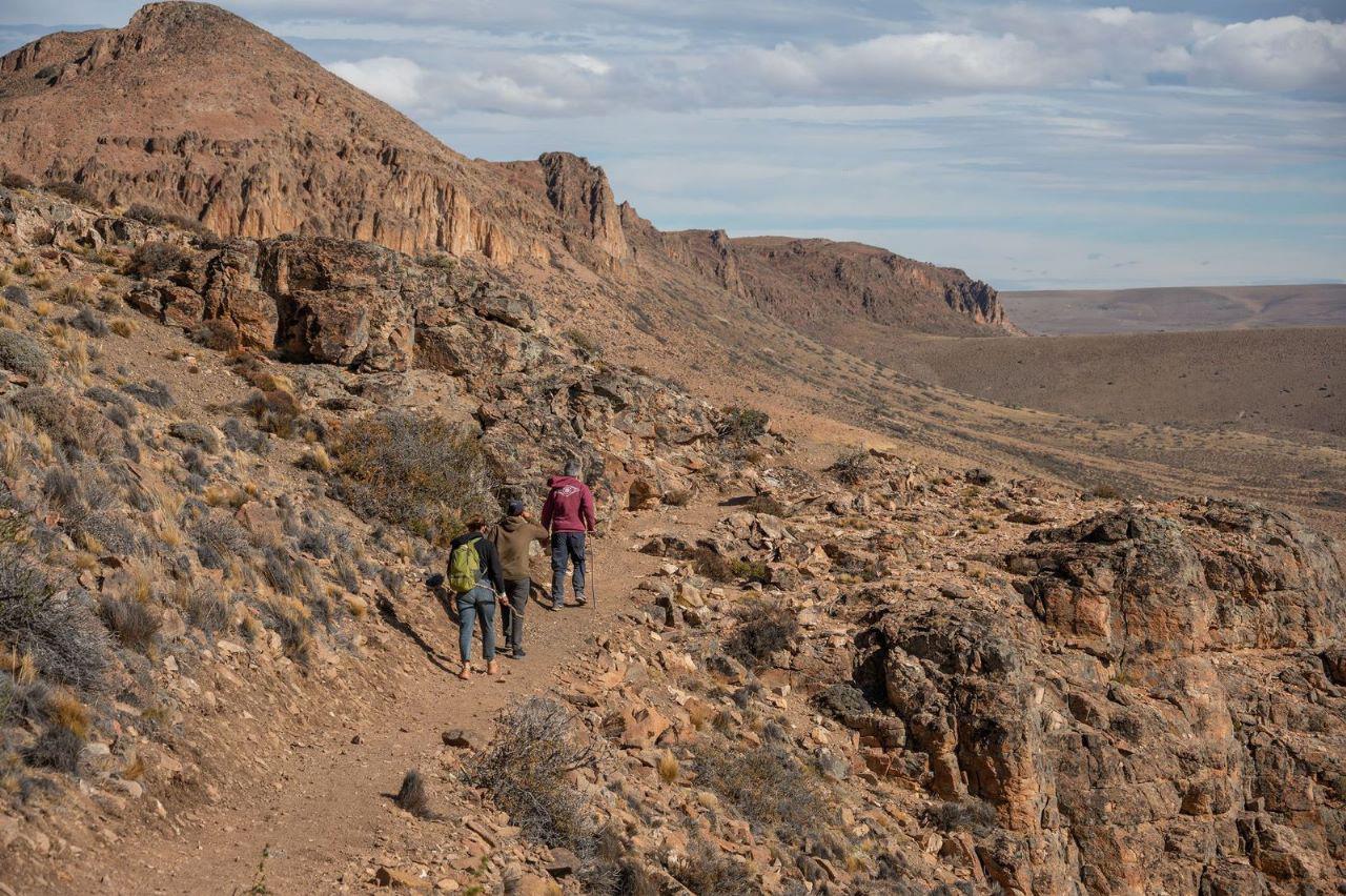 WhatsApp Image 2023-01-06 at 15.12.26