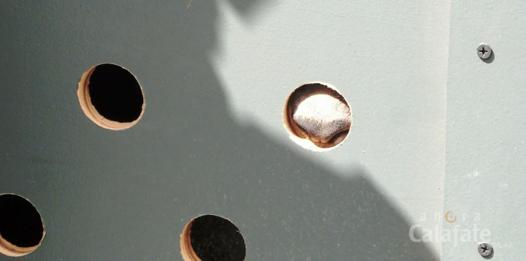 pumita 1 [AUDIO FMD]