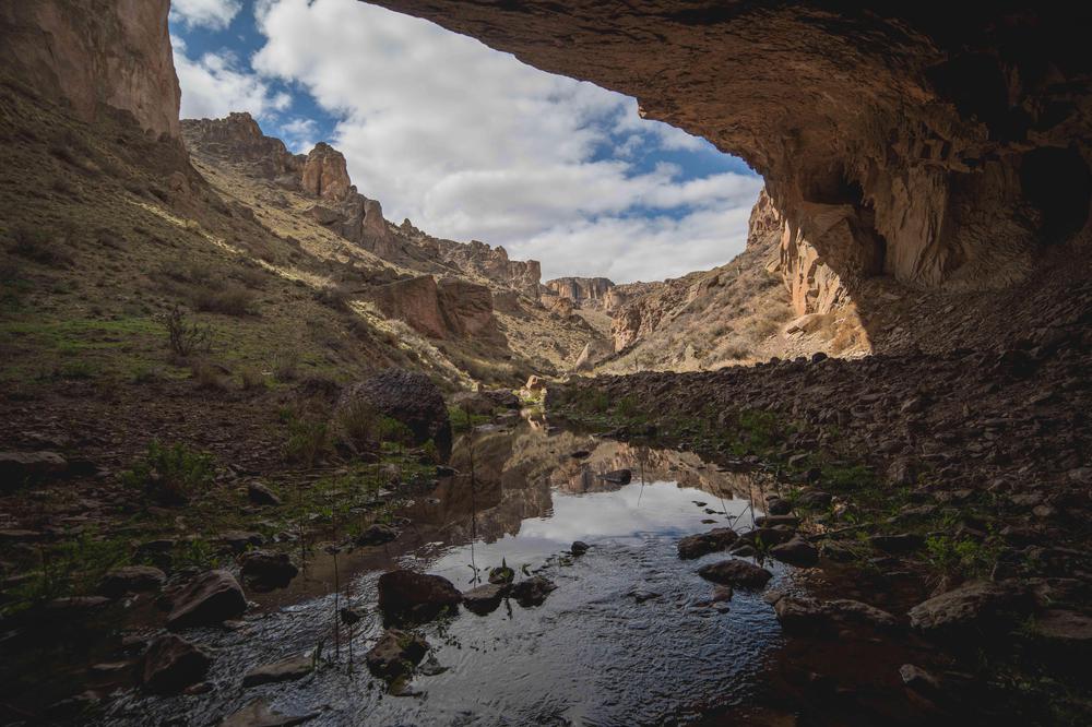 PARQUEPATAGONIA-GONGRANJA-3