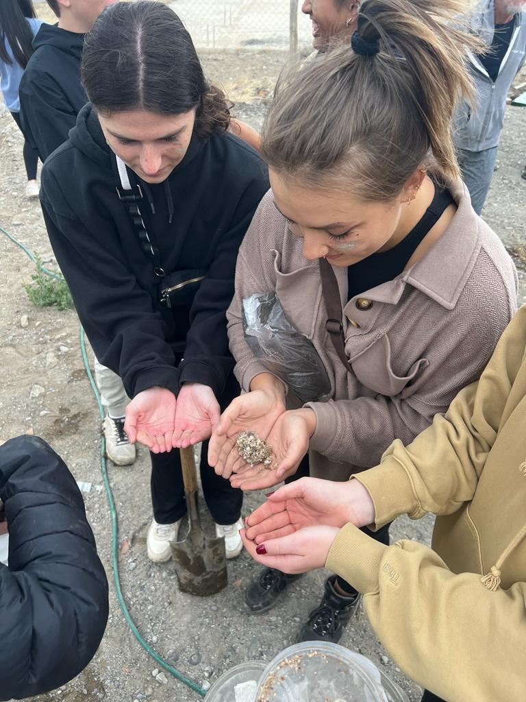 da500c8a-96ae-4389-9ea3-5702ca2075a9