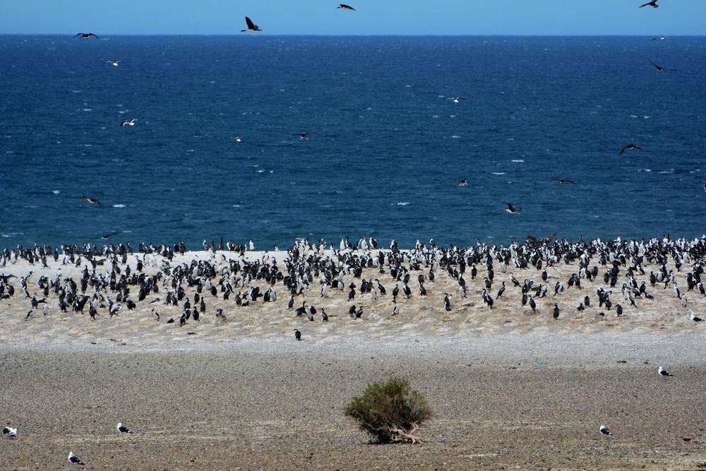 20230118PARQUE_NACIONAL_MONTE_LEON_MAKENKE_TURISMO_86
