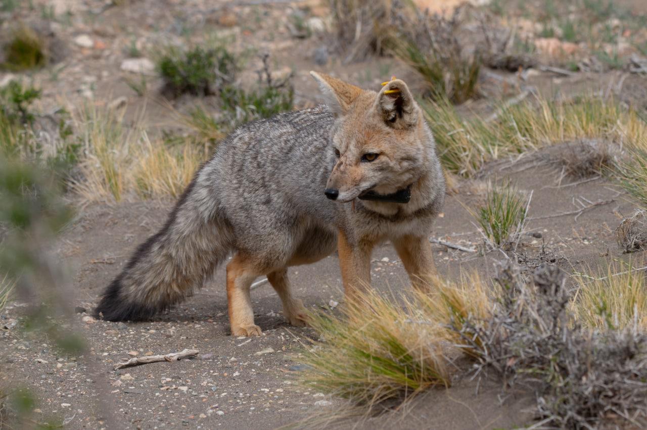 WhatsApp Image 2022-12-23 at 10.58.16 (2)