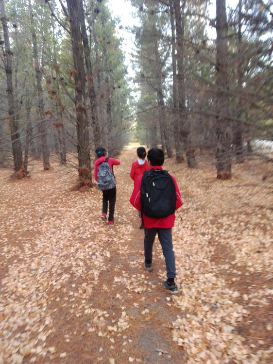 Senderismo infantil en Los Antiguos caminar para conocer_Conocer para amar 05