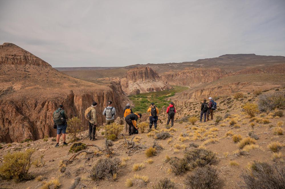 Sendero Cañadón Pinturas- foto de Horacio Barbieri - @hori_barbieri-Rewilding Argenitna