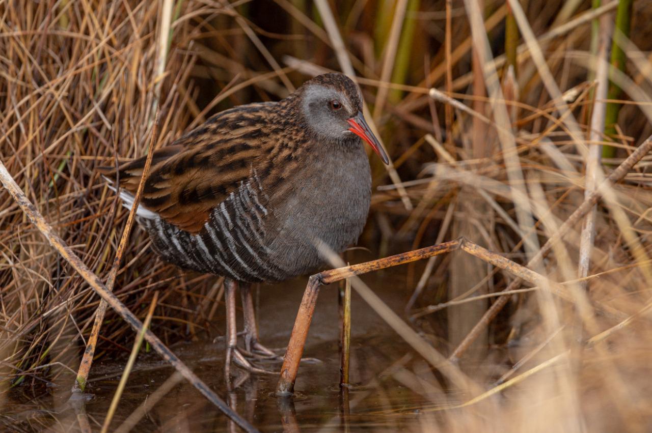 WhatsApp Image 2022-09-08 at 10.51.12