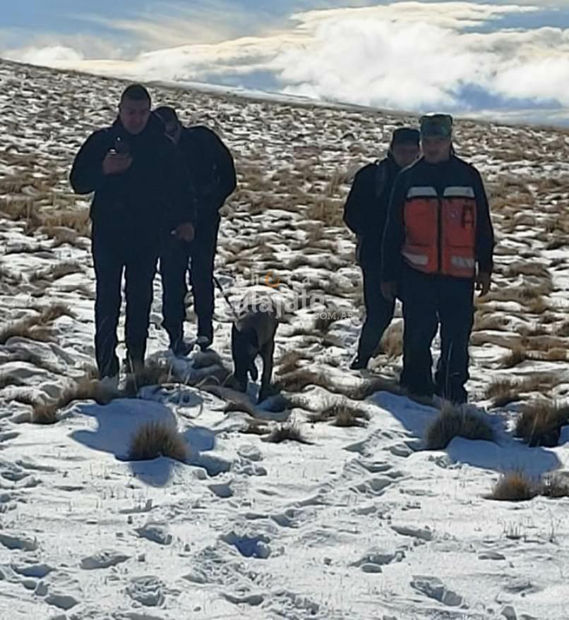 busqueda peon 3 [AUDIO FMD]