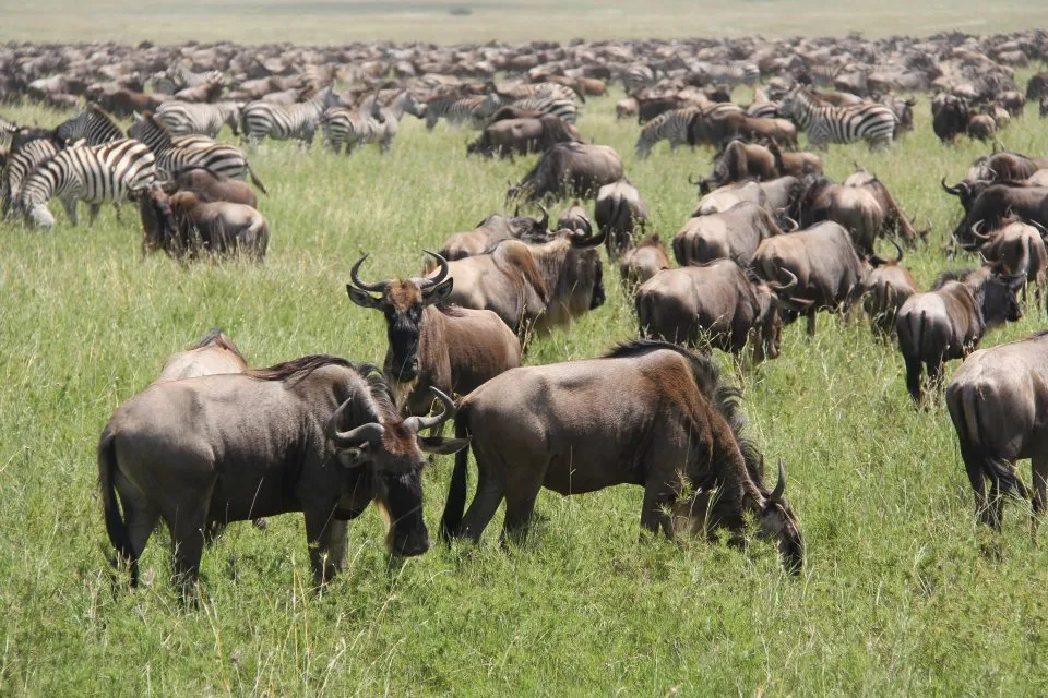 WhatsApp Image 2023-06-12 at 15.06.15 (1)