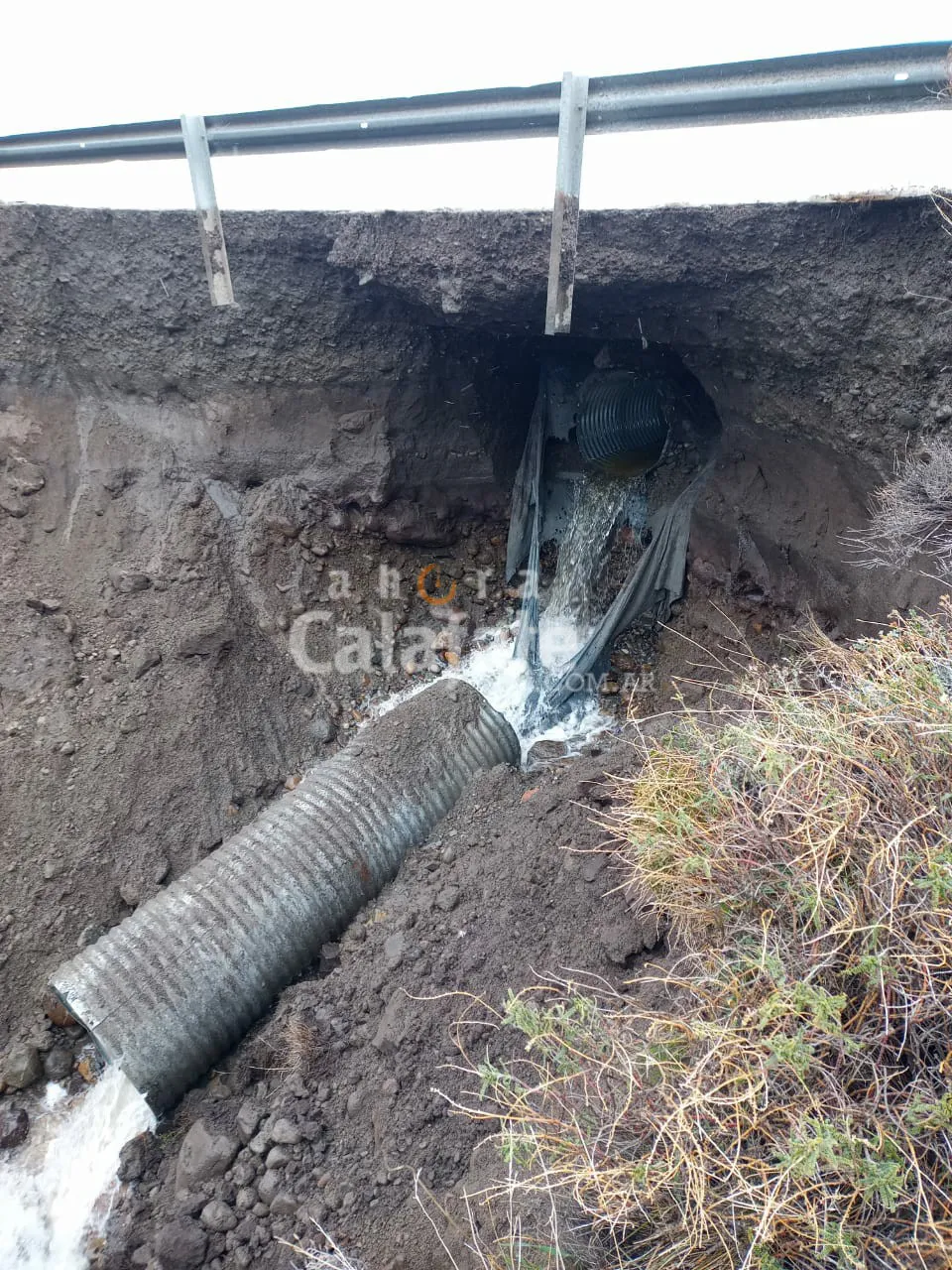 WhatsApp Image 2023-07-29 at 16.49.41 (2) [AUDIO FMD]