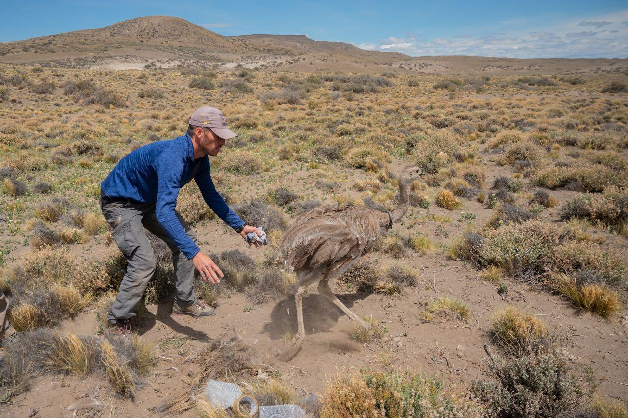 WhatsApp Image 2023-02-11 at 10.45.25