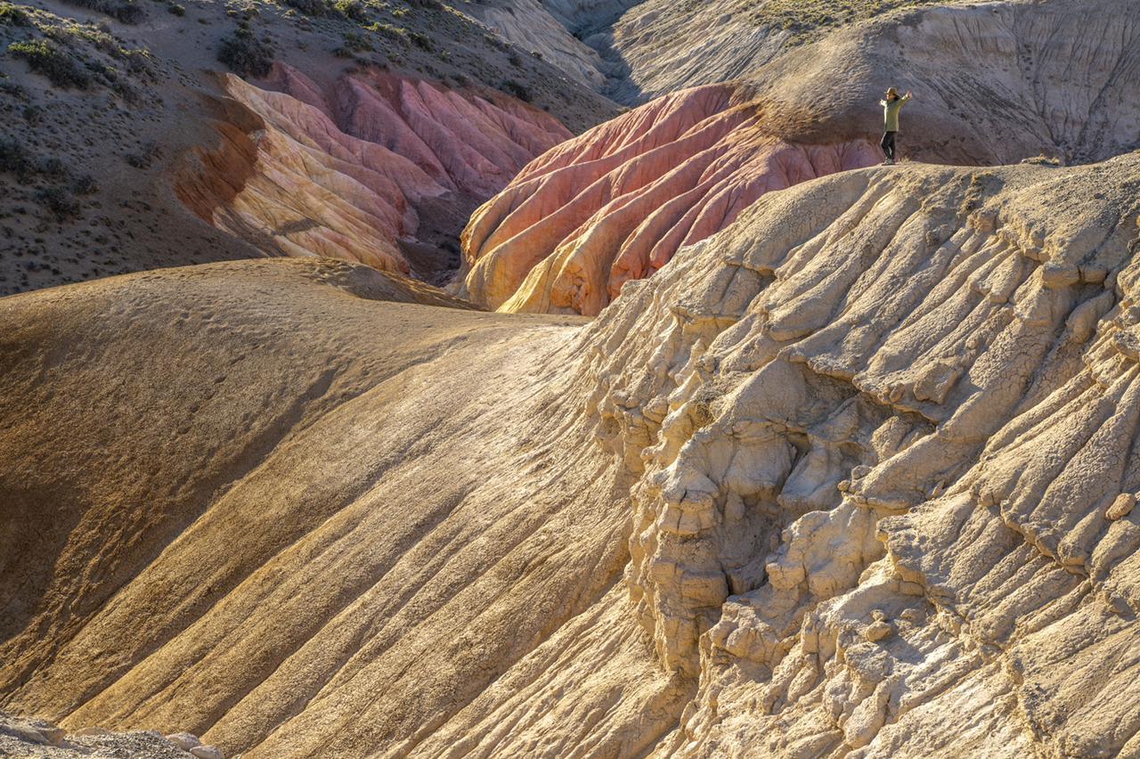 8f1f2ea6-d0a0-4e50-b323-7eb92a6b7c2d