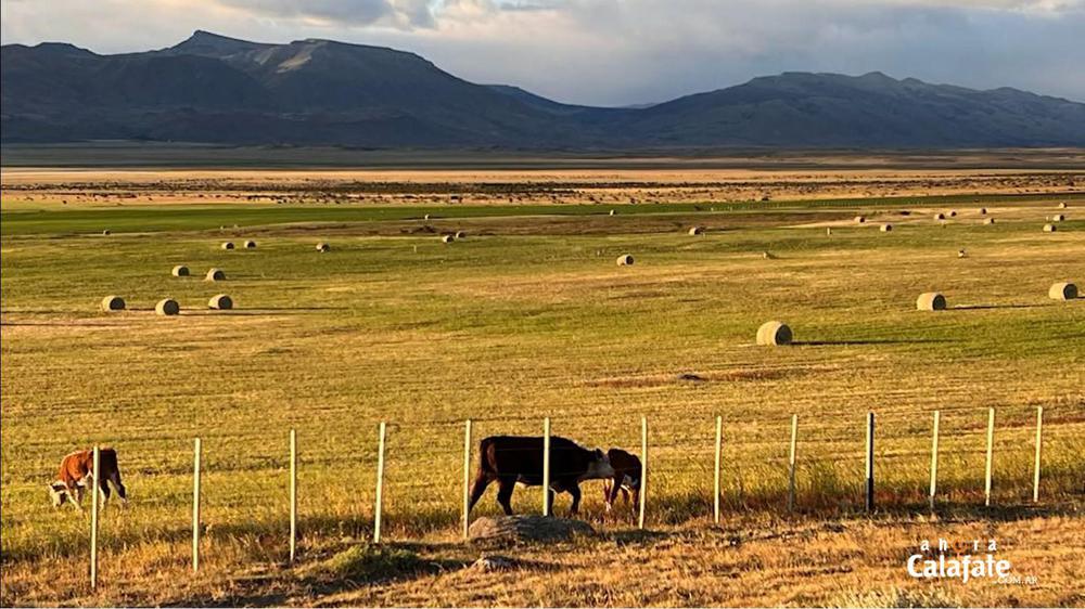 Cerro Frias6 [AUDIO FMD]